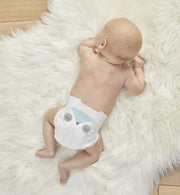eco nappies
