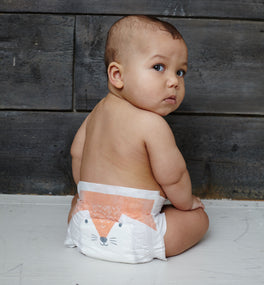 Hypoallergenic rabbit eco nappies